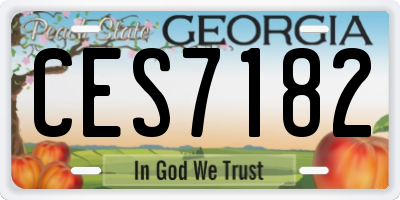 GA license plate CES7182