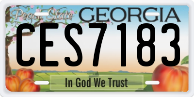GA license plate CES7183