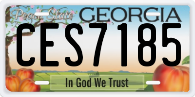 GA license plate CES7185