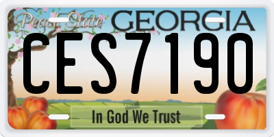 GA license plate CES7190