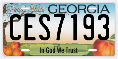 GA license plate CES7193