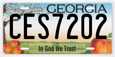 GA license plate CES7202