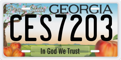 GA license plate CES7203