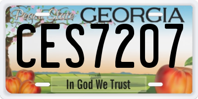 GA license plate CES7207