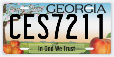 GA license plate CES7211