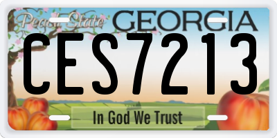 GA license plate CES7213
