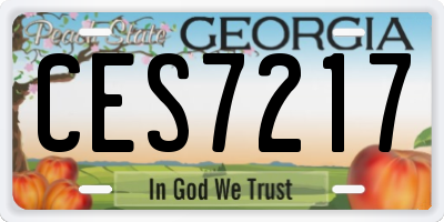 GA license plate CES7217
