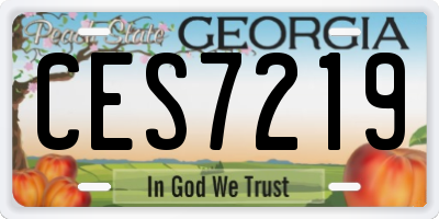 GA license plate CES7219