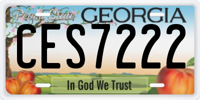 GA license plate CES7222