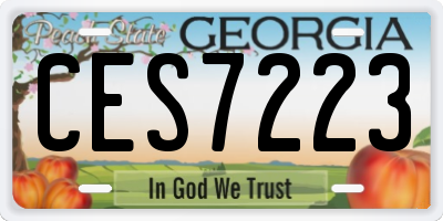 GA license plate CES7223