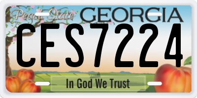 GA license plate CES7224