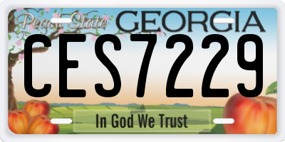 GA license plate CES7229