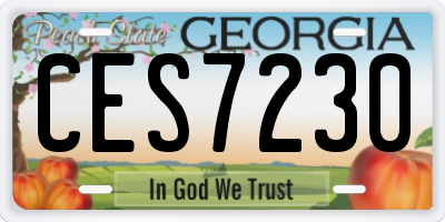 GA license plate CES7230
