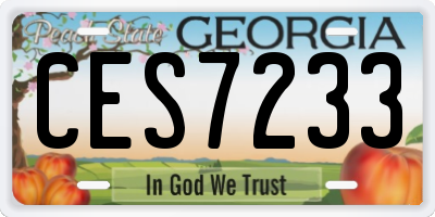 GA license plate CES7233