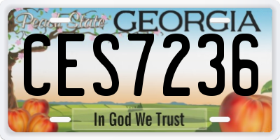 GA license plate CES7236