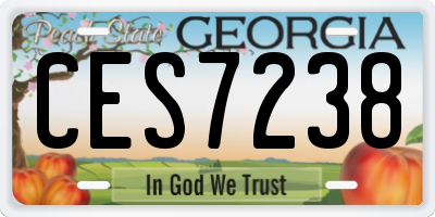 GA license plate CES7238