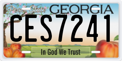 GA license plate CES7241
