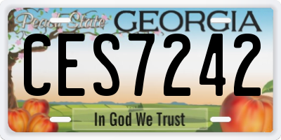 GA license plate CES7242