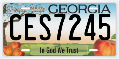 GA license plate CES7245