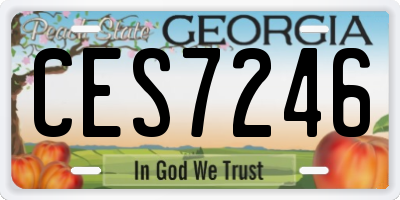 GA license plate CES7246