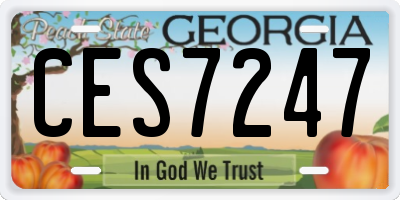 GA license plate CES7247