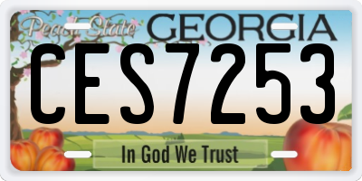 GA license plate CES7253