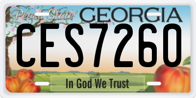 GA license plate CES7260
