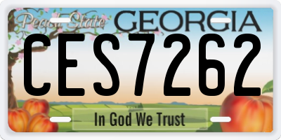 GA license plate CES7262