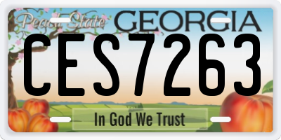 GA license plate CES7263