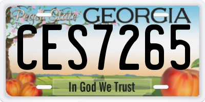GA license plate CES7265