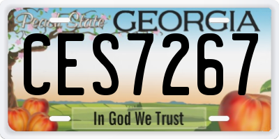 GA license plate CES7267