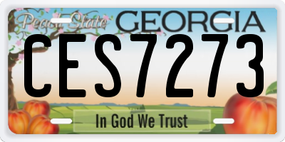 GA license plate CES7273