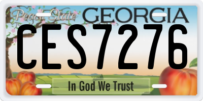 GA license plate CES7276