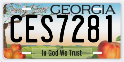 GA license plate CES7281