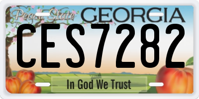 GA license plate CES7282