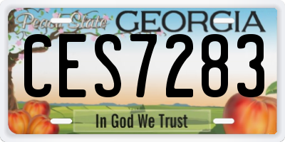 GA license plate CES7283
