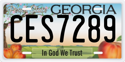 GA license plate CES7289