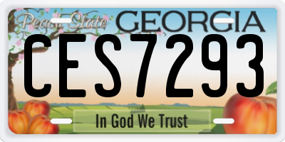 GA license plate CES7293