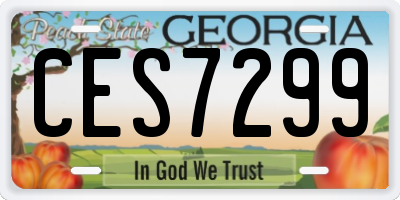 GA license plate CES7299