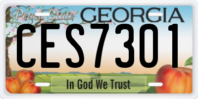 GA license plate CES7301