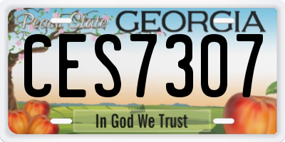 GA license plate CES7307
