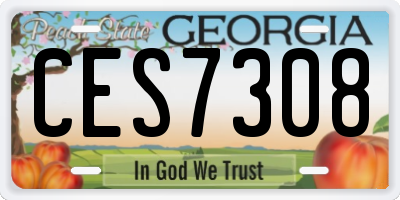 GA license plate CES7308