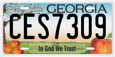 GA license plate CES7309