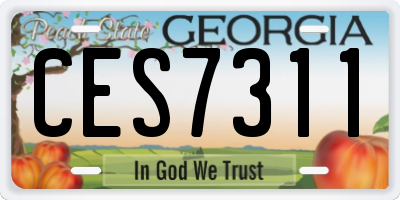 GA license plate CES7311