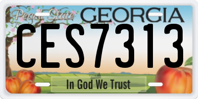 GA license plate CES7313
