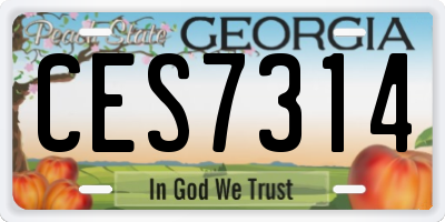 GA license plate CES7314