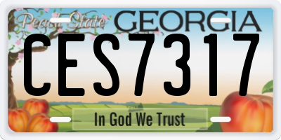 GA license plate CES7317