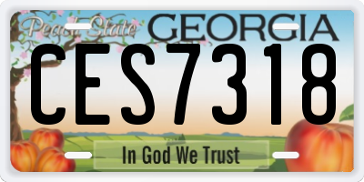 GA license plate CES7318