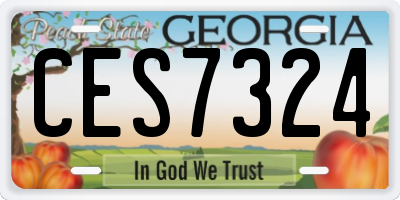 GA license plate CES7324