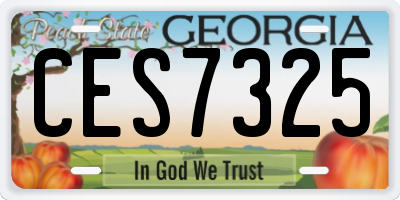 GA license plate CES7325